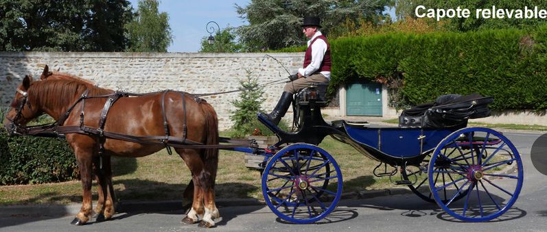 Location de calèches mariage, anniversaire, mairie